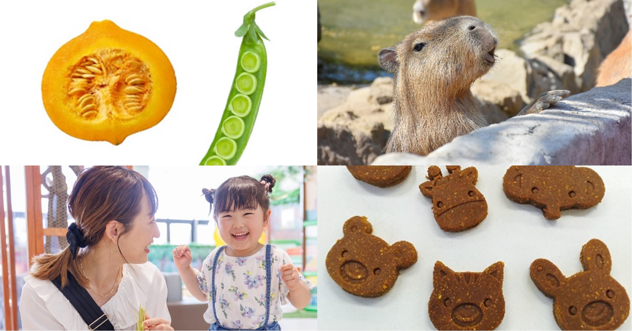 8eae9919caad4d8b49179e3af88296ca