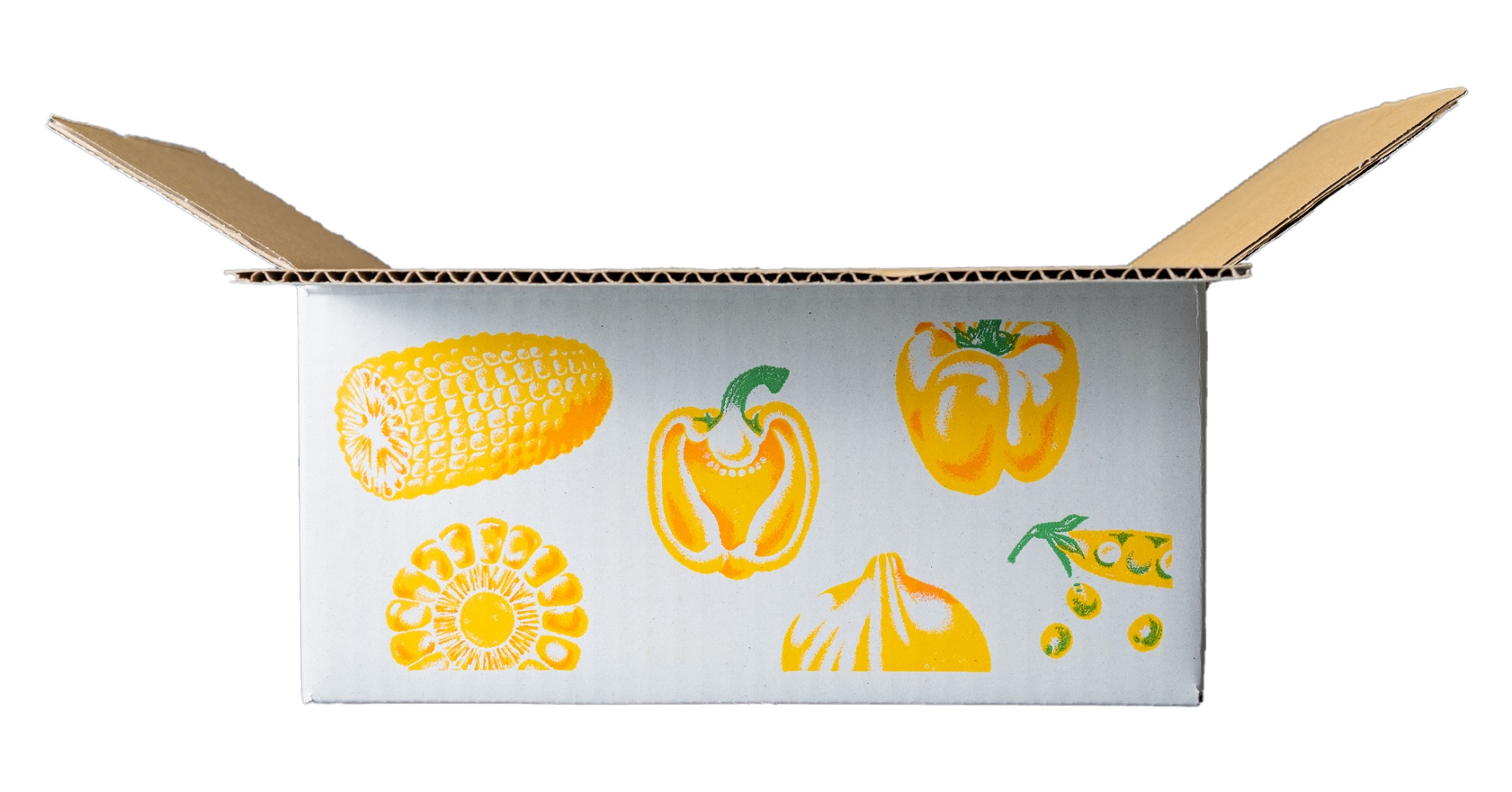 3553e355795fcd39dc24f1158167dfd5